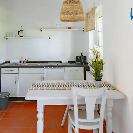 Am Gutspark Drankse Weissdorn