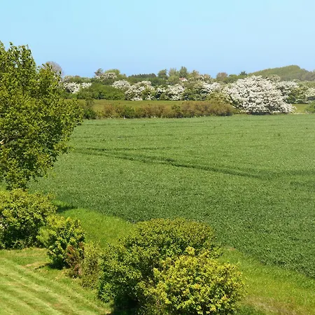 Am Gutspark Drankse Weissdorn *