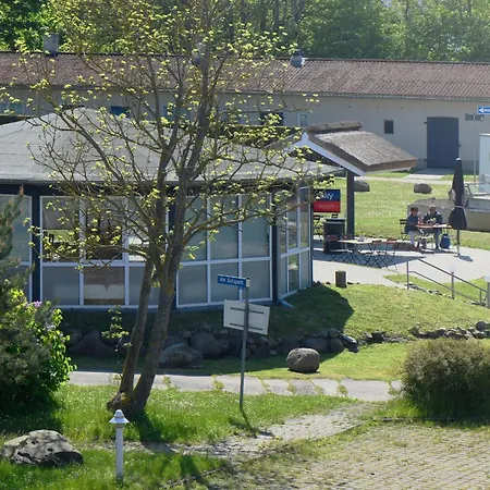 Am Gutspark Drankse Weissdorn Dranske