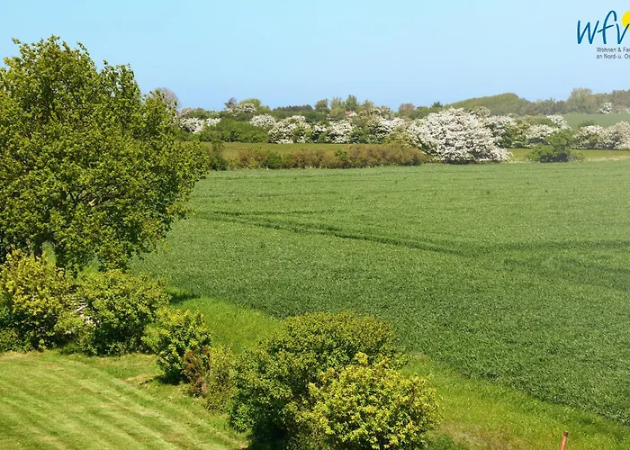 Am Gutspark Drankse Weissdorn *